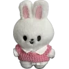 🐰
