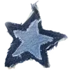 🌟