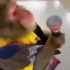 🐒