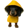 🐕‍🦺