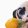 🦴
