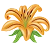 🌾