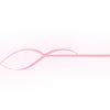 ✨