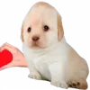 🥰