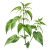 🌿