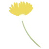 🌼