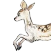 🦌