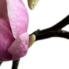⭐