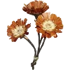 💐