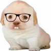 🤓