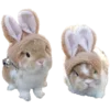 🐰