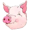 🐖