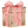 🎁