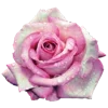 💐