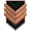 🎖