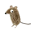 🐭