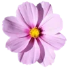 💐