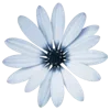 💐
