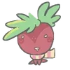 🍓