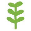 🌱