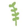 🌱