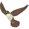 🦅