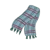 🧣