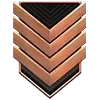🎖