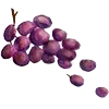 🍇