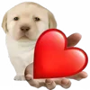 ❤️