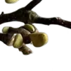 ⭐