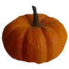🍂