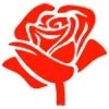 🌹