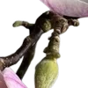 ⭐