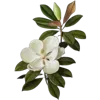 💐