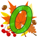 🍁