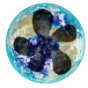 🌍