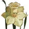 🌷