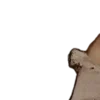 👩