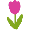 🌷