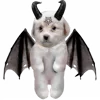 😈