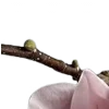 ⭐