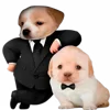 😎