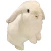🐰