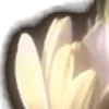 ⭐