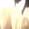 ⭐