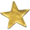 🌟