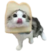 🐈‍⬛