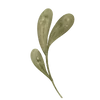🌱