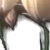 ⭐